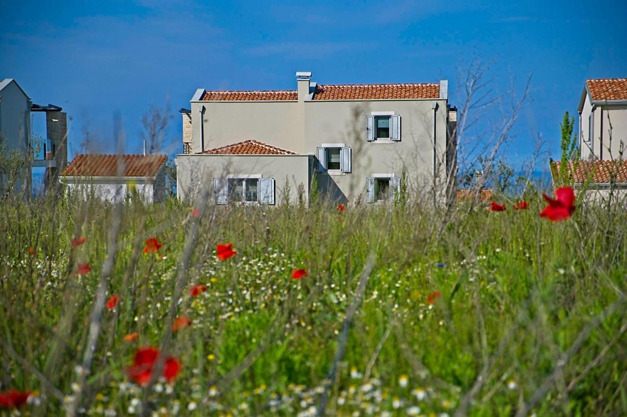 Villa Flamingo Kaštelir エクステリア 写真