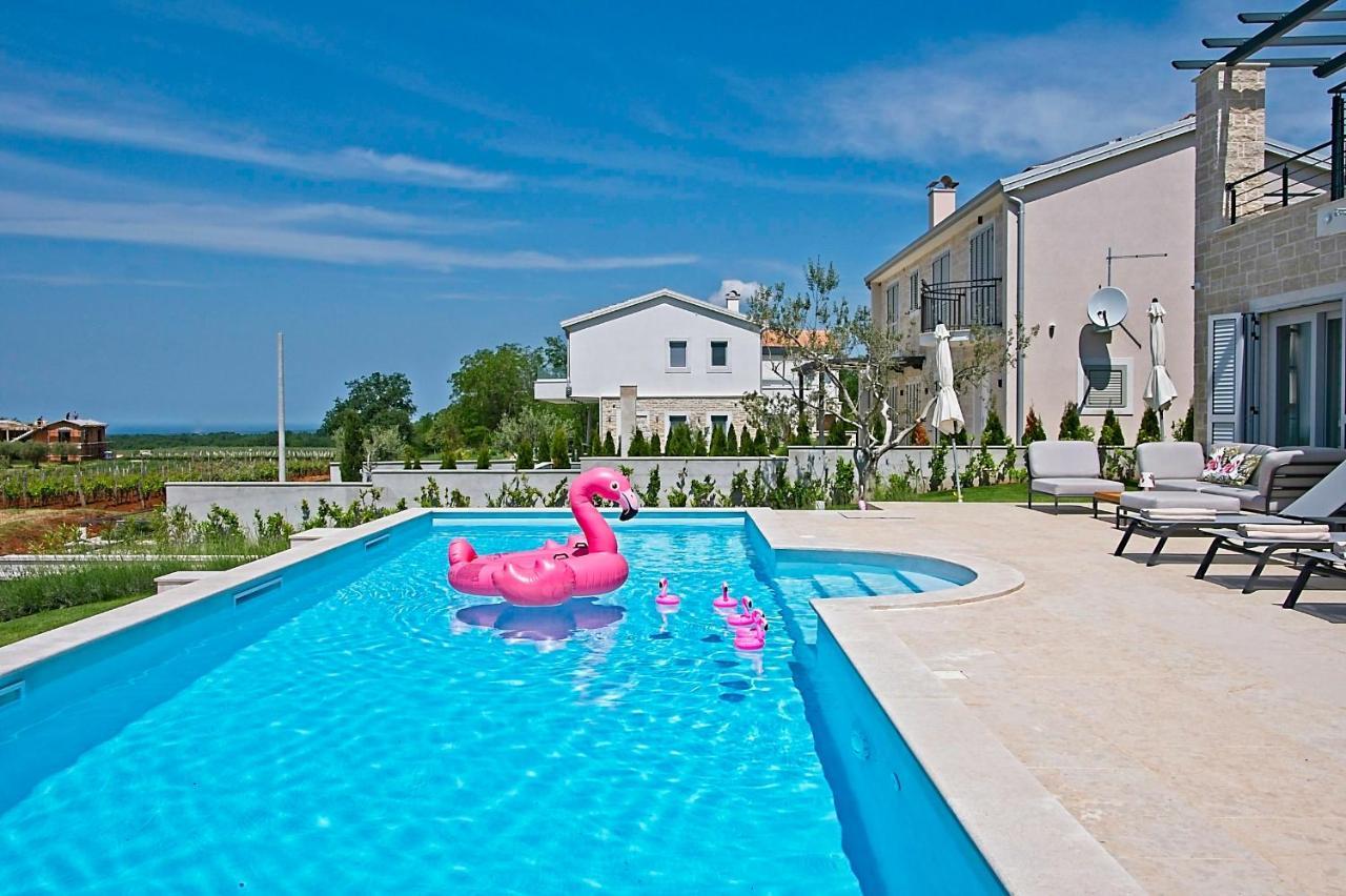Villa Flamingo Kaštelir エクステリア 写真