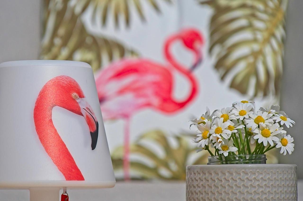 Villa Flamingo Kaštelir エクステリア 写真