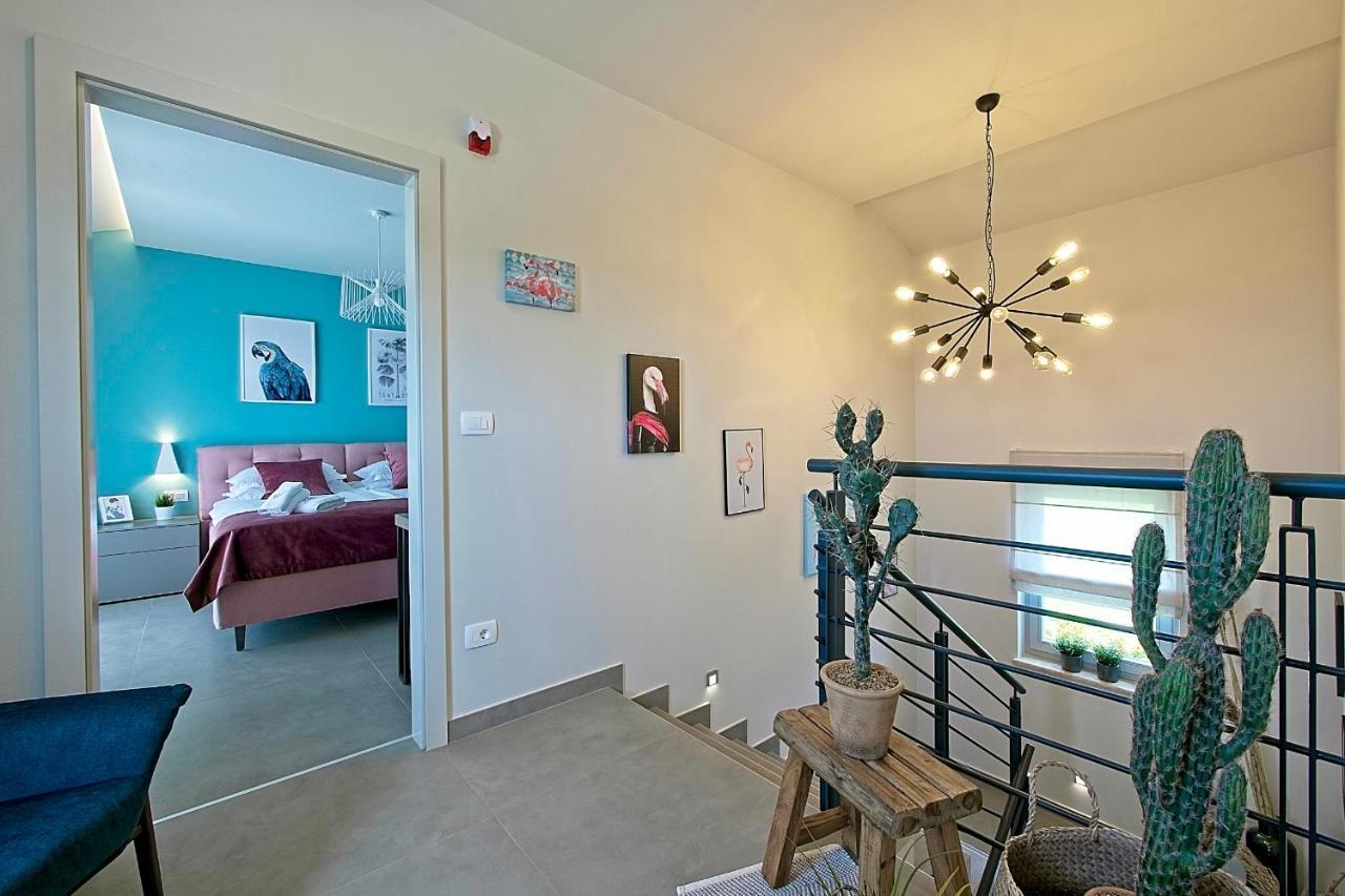 Villa Flamingo Kaštelir エクステリア 写真