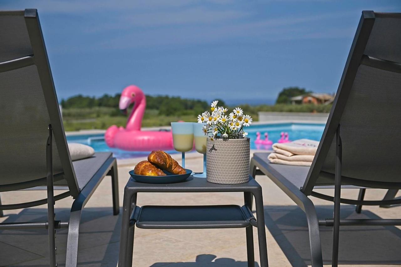 Villa Flamingo Kaštelir エクステリア 写真