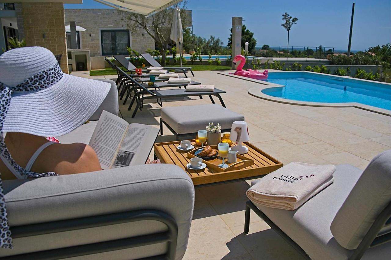 Villa Flamingo Kaštelir エクステリア 写真