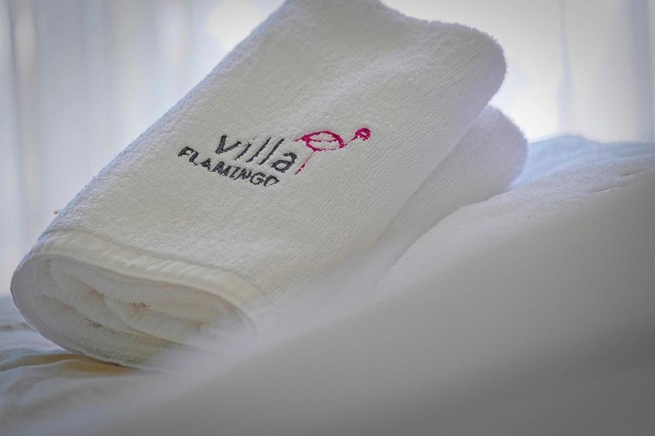 Villa Flamingo Kaštelir エクステリア 写真